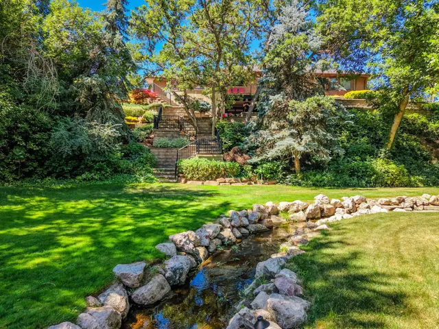 Backyard Area