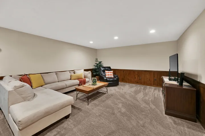 Basement Living Area