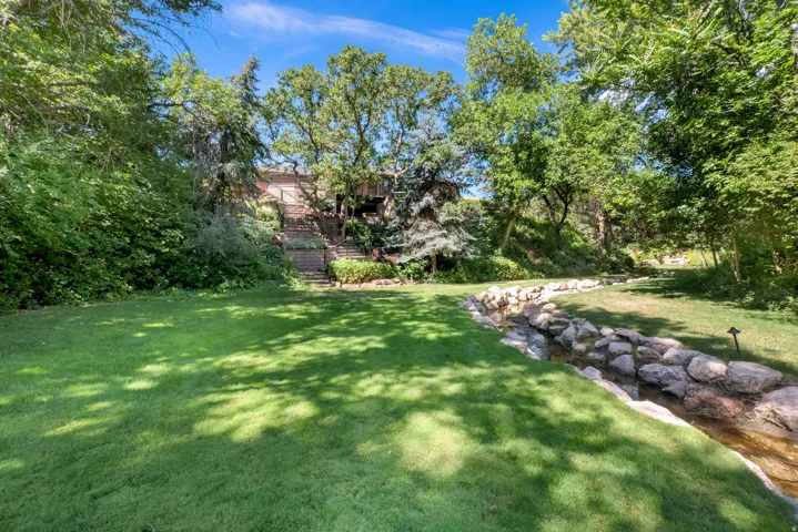 Backyard Area