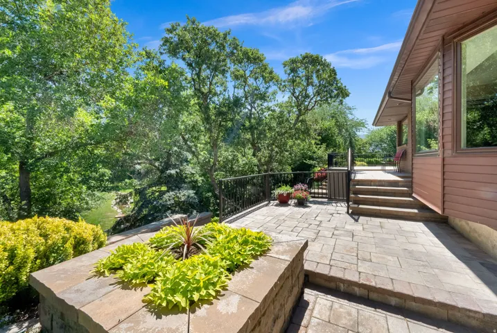 Backyard Area