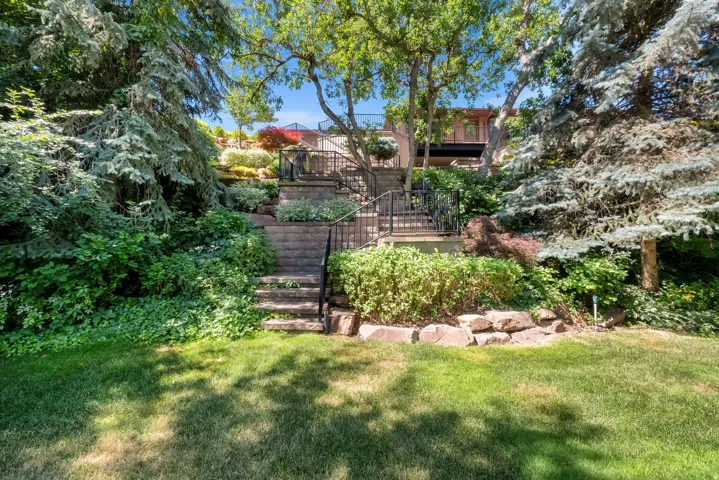 Backyard Area