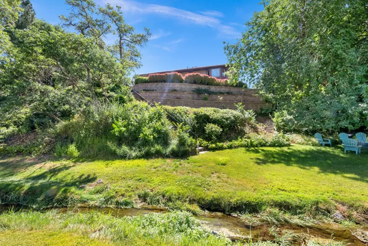 Backyard Area
