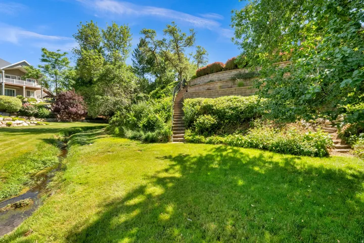 Backyard Area