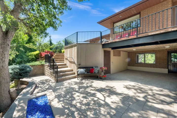 Backyard Area