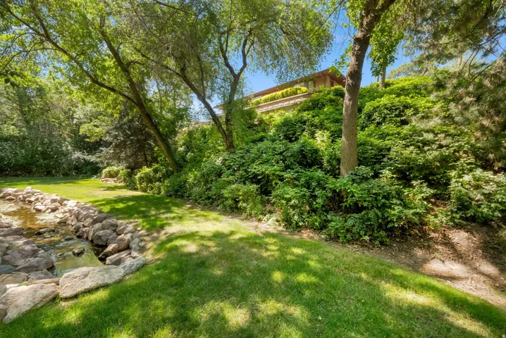 Backyard Area