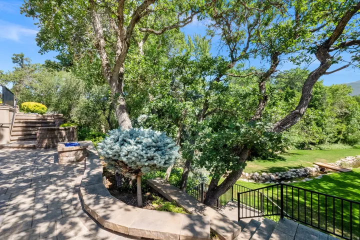 Backyard Area