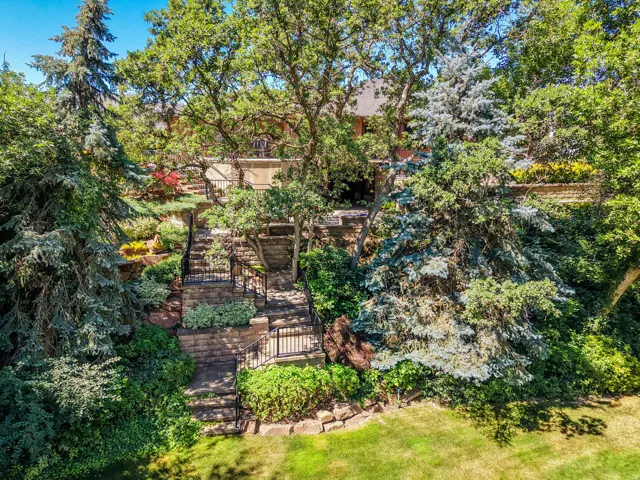 Backyard Area