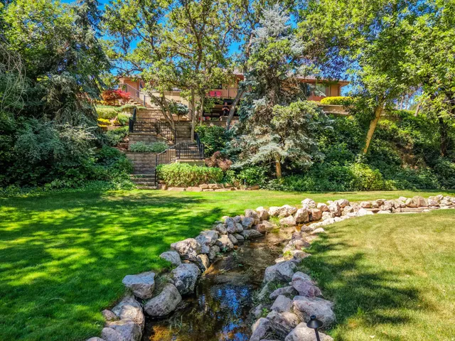 Backyard Area