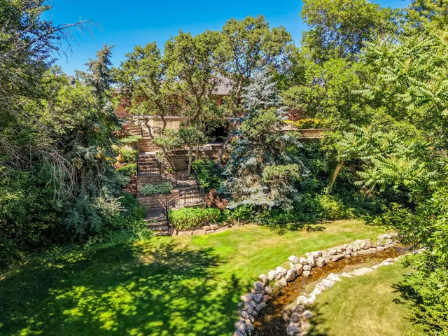 Backyard Area
