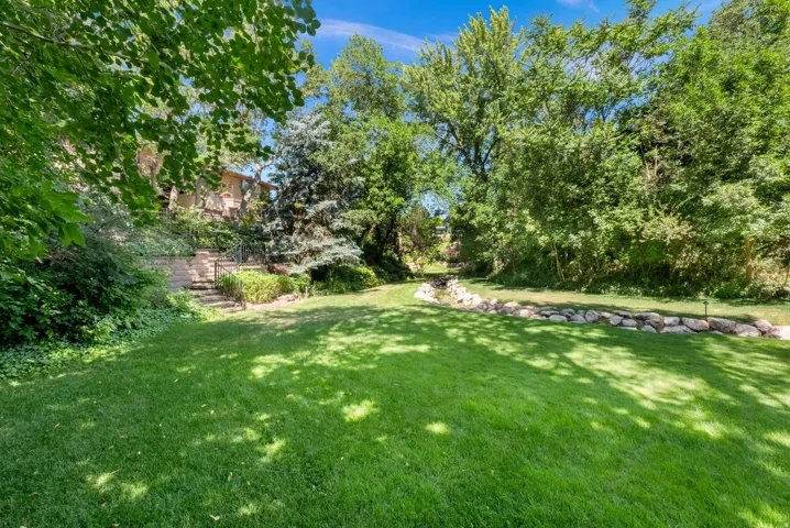 Backyard Area