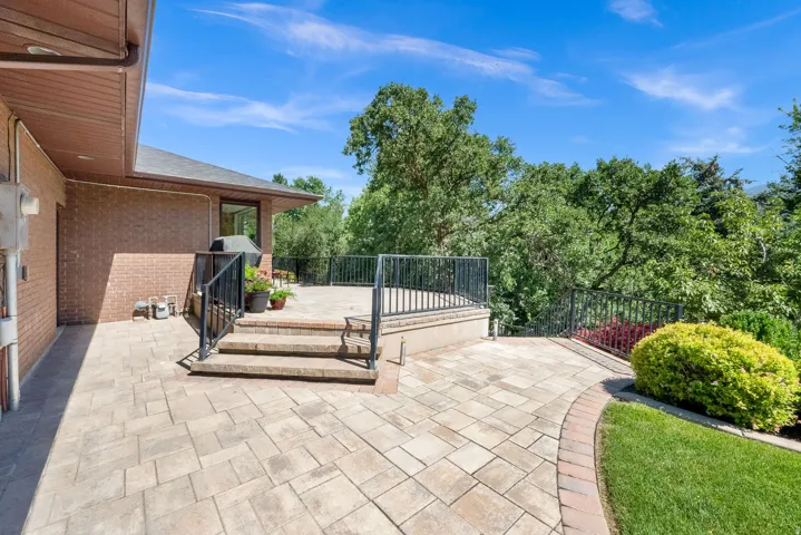 Backyard Area