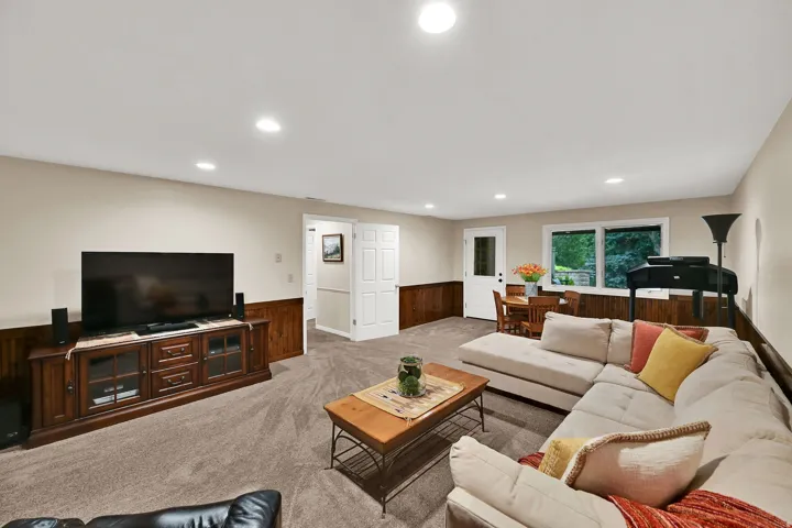 Basement Living Area