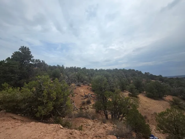 Amazing property views!