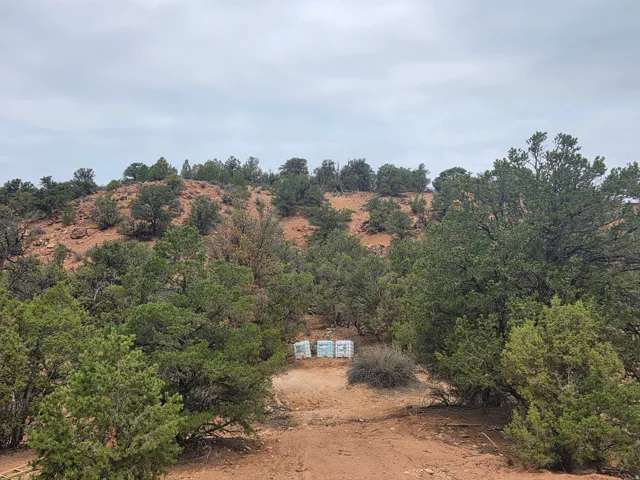 Amazing property views!