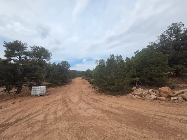 Nice excavated flat areas and driveway