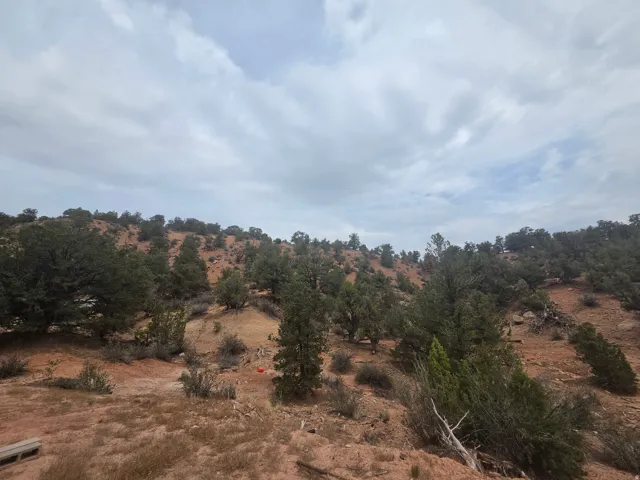 Amazing property views!