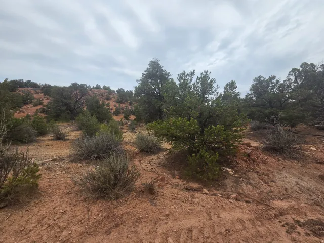 Amazing property views!
