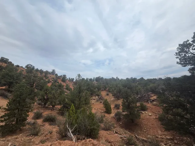 Amazing property views!