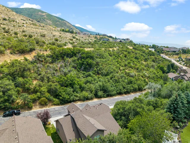 Brown shingle roof with multiple gables, surrounded by mature trees and mountain terrain