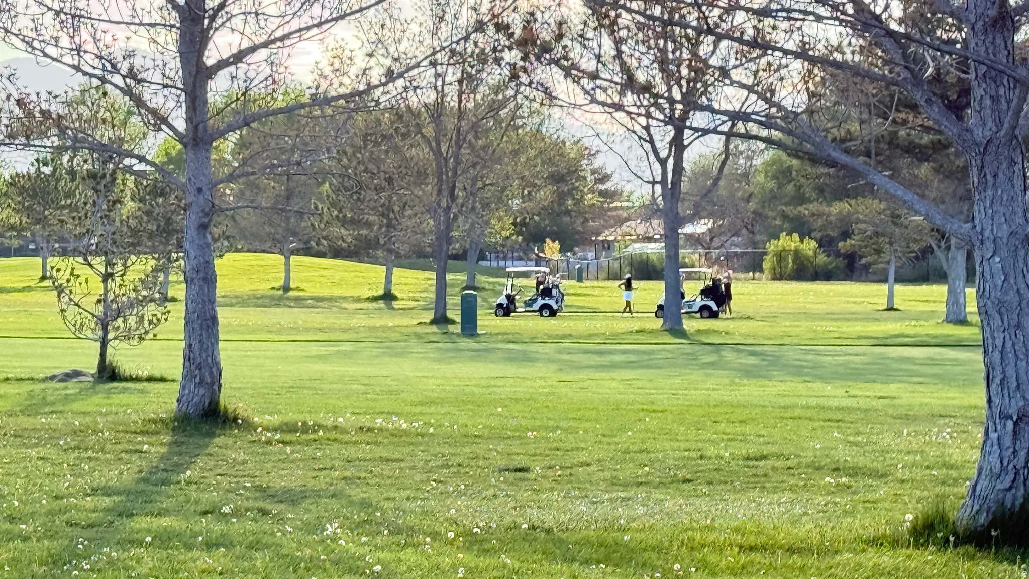 Expansive green space featuring scattered trees