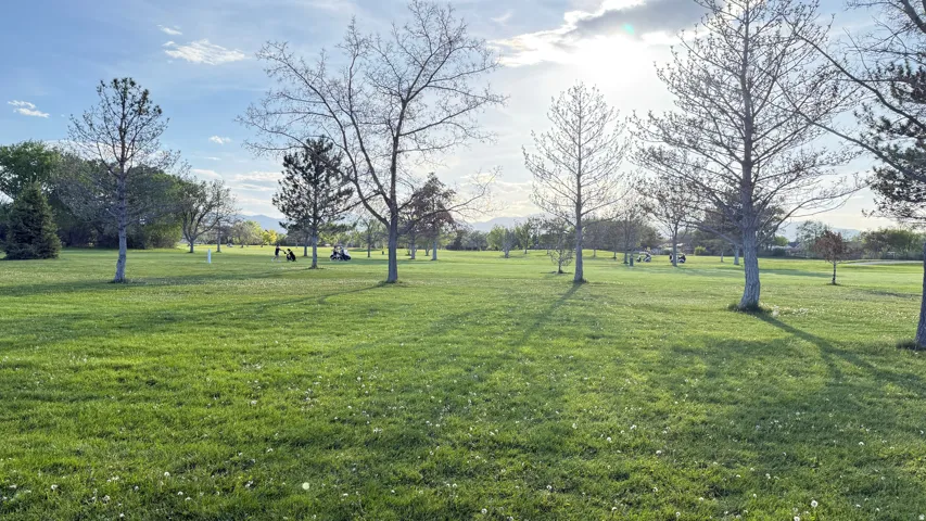 Expansive green space featuring mature trees and a distant mountain backdrop