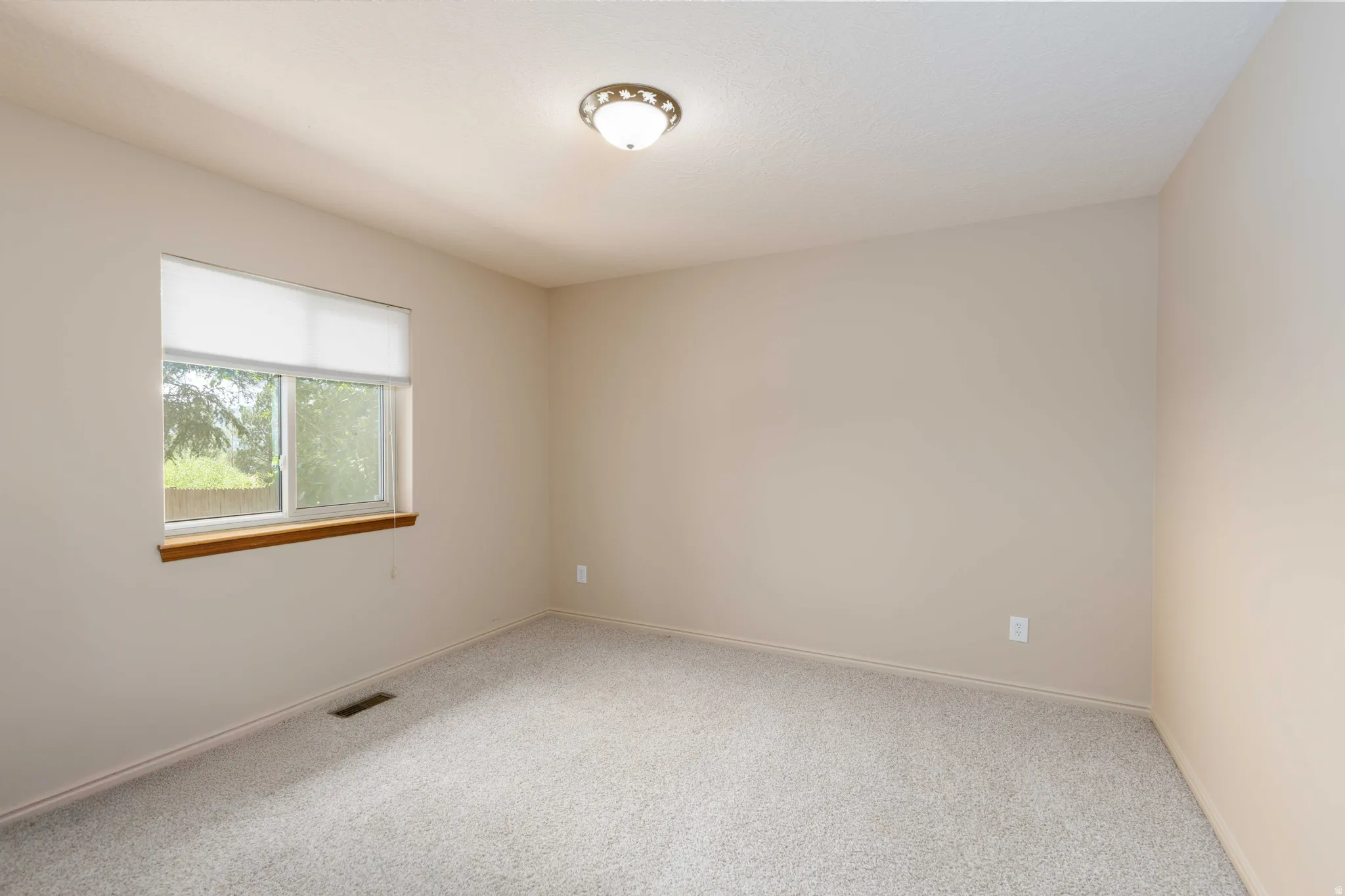 Light-colored carpeting, neutral wall paint, and a window with a roller blind