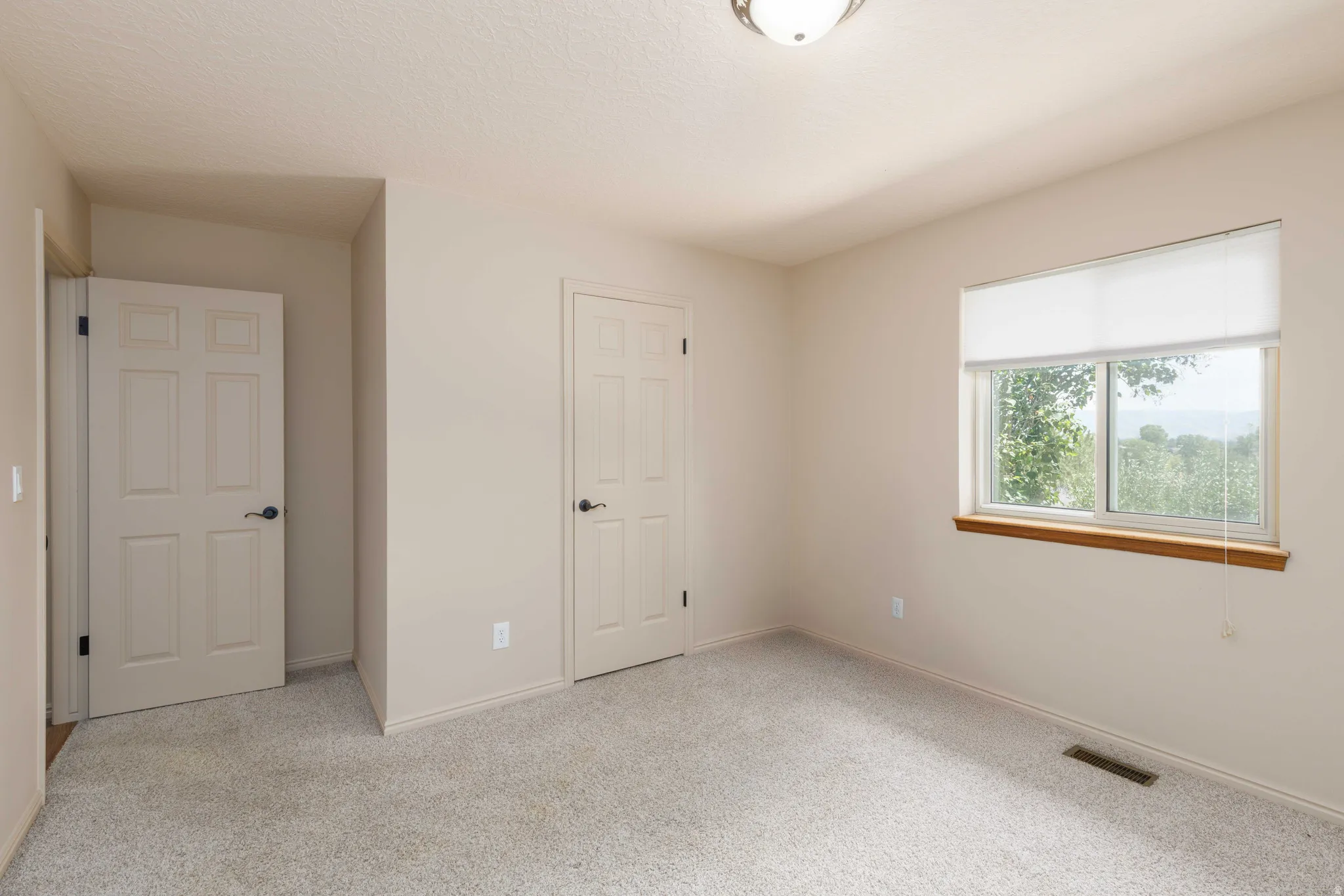 Neutral wall paint, light-toned carpeting, flush-mount ceiling light fixture, white window with wood-finish sill, and paneled interior doors
