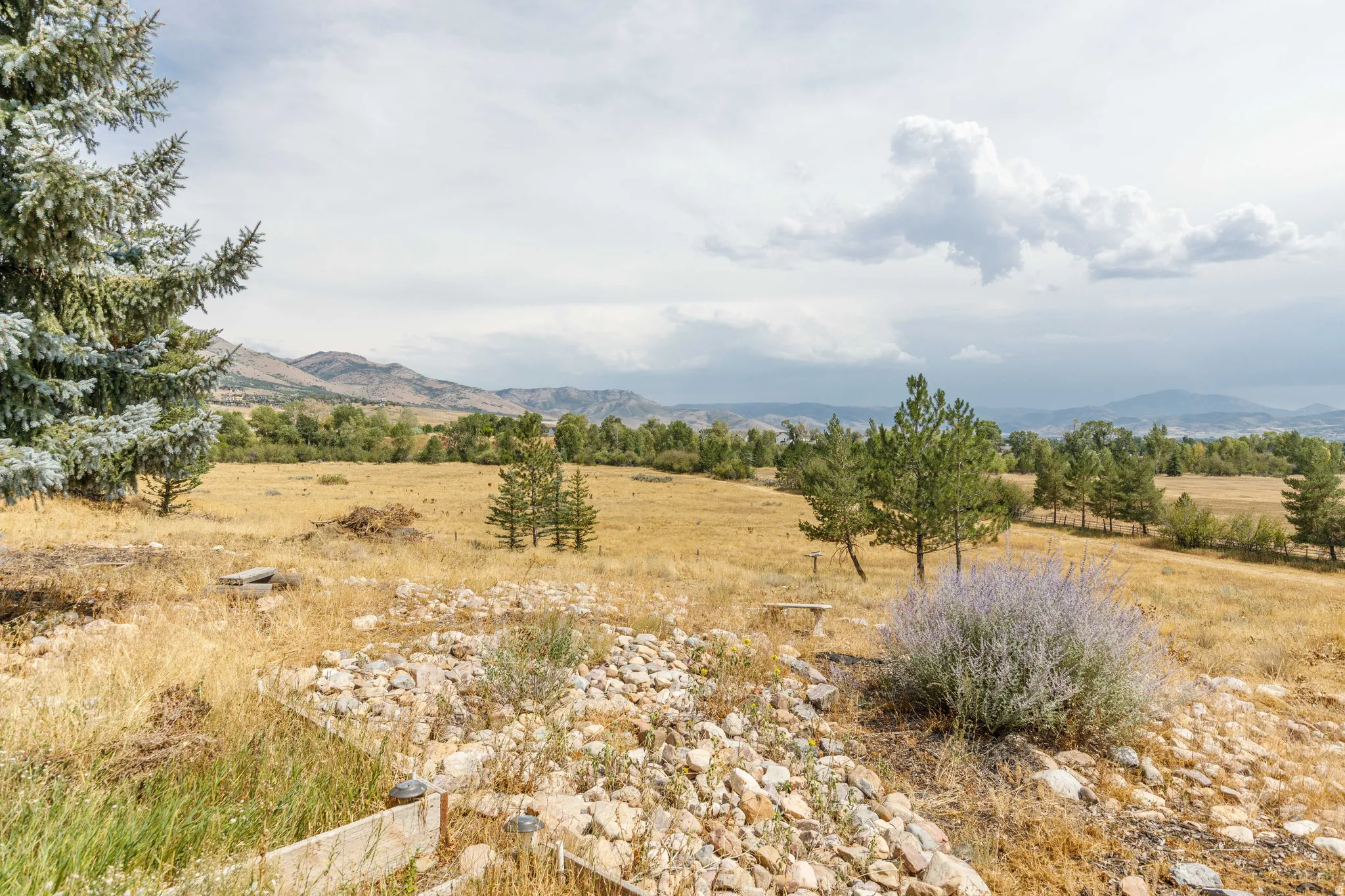 Expansive natural landscape featuring distant mountains and mature trees