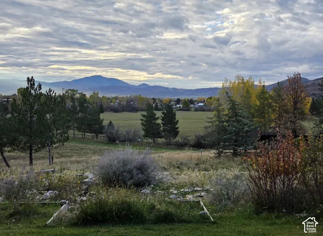 Expansive acreage featuring open grassy fields, diverse mature trees, and prominent mountain terrain
