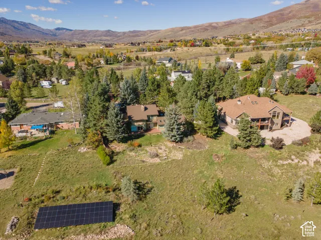 Aerial perspective featuring expansive acreage, mature evergreen trees, and a ground-mounted solar panel array