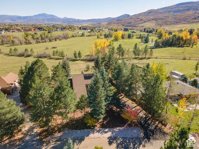 Expansive lot featuring mature evergreen trees, a paved driveway, and mountain backdrop