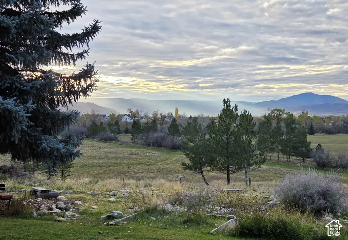 Expansive landscape featuring mature conifer trees, native grasses, rock outcroppings, and a backdrop of distant mountains