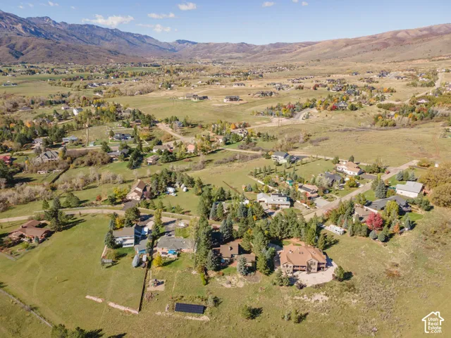 Aerial perspective of rural landscape featuring expansive open terrain, mature coniferous trees, and a backdrop of mountain ranges