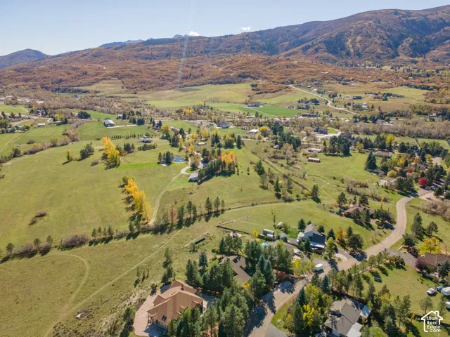 Aerial perspective featuring expansive acreage, mature coniferous and deciduous trees, and a mountain backdrop