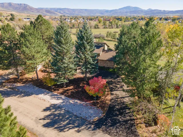 Aerial perspective featuring a multi-story residence with stone and shingle exterior, an asphalt driveway, mature evergreen and deciduous trees, and a mountain backdrop