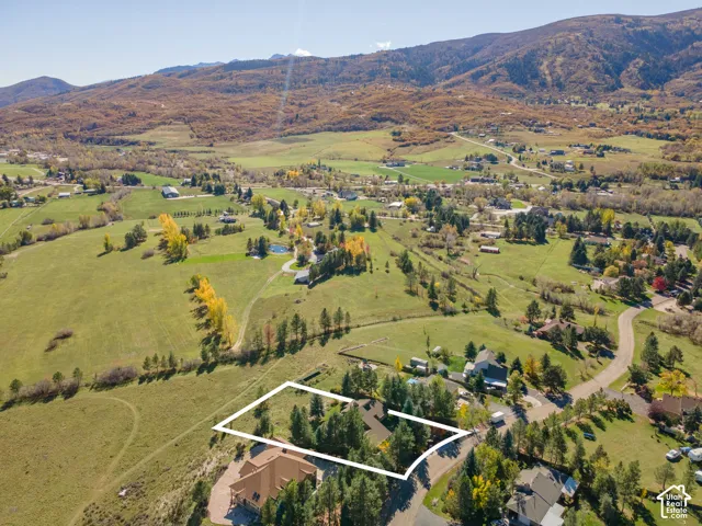 Aerial perspective featuring a residential lot with mature evergreen trees, expansive terrain, and a mountain backdrop