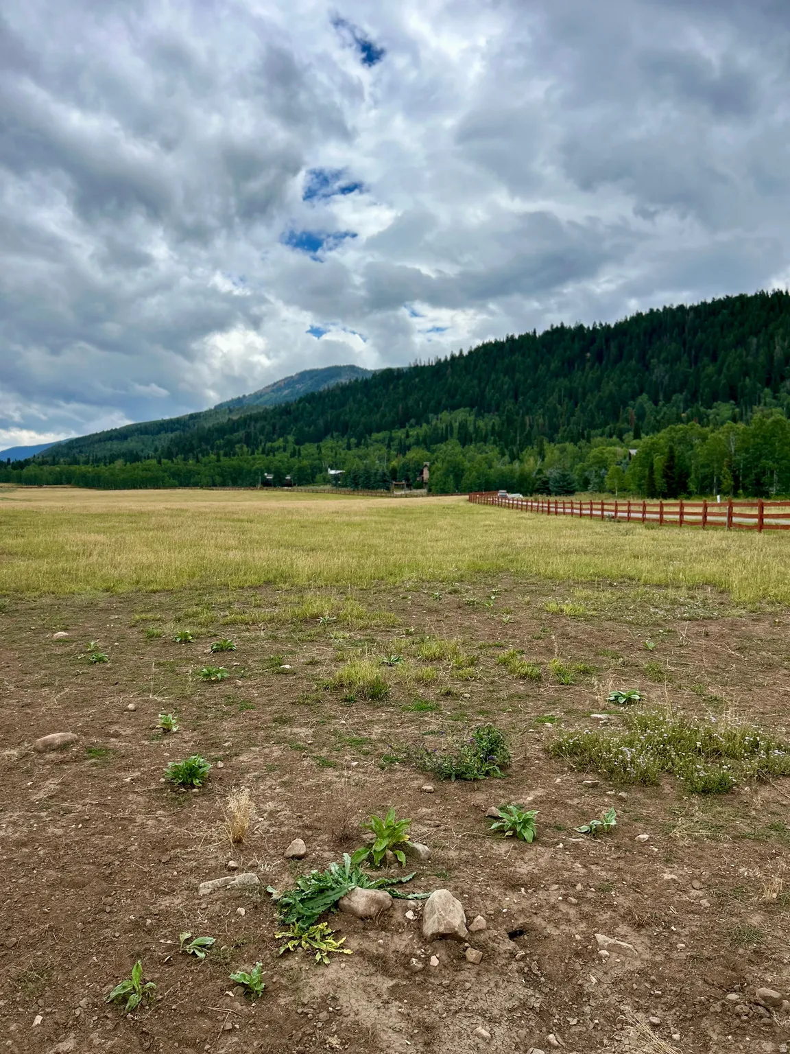Expansive open field with a natural wood fence and dense tree line. Common area pasture for horses in the Summer.