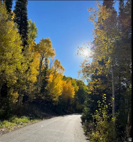 Beautiful Fall colors