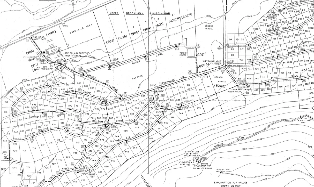 Lot Map. Lot is #550