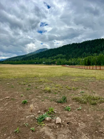 Expansive open field with a natural wood fence and dense tree line. Common area pasture for horses in the Summer.