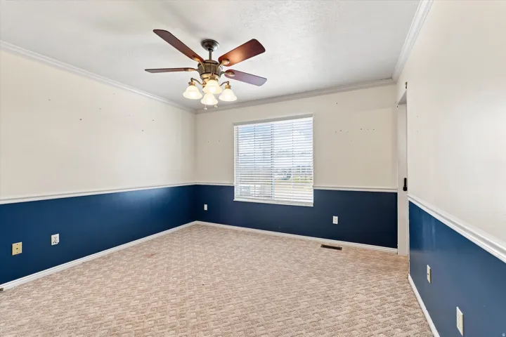 Carpeted room with a ceiling fan, crown molding, two-tone painted walls, and a window with blinds