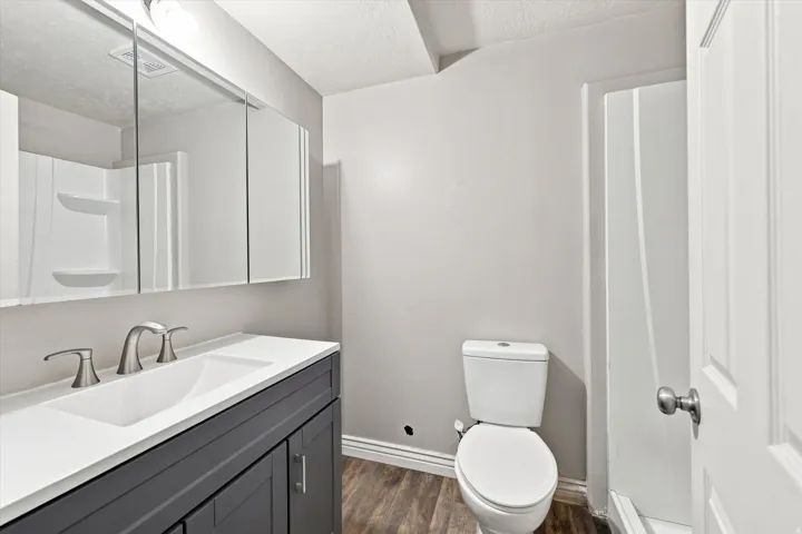 Modern vanity with dual-handle faucet and integrated sink, mirrored medicine cabinet, wood-finish flooring, and a stand-up shower with built-in shelving