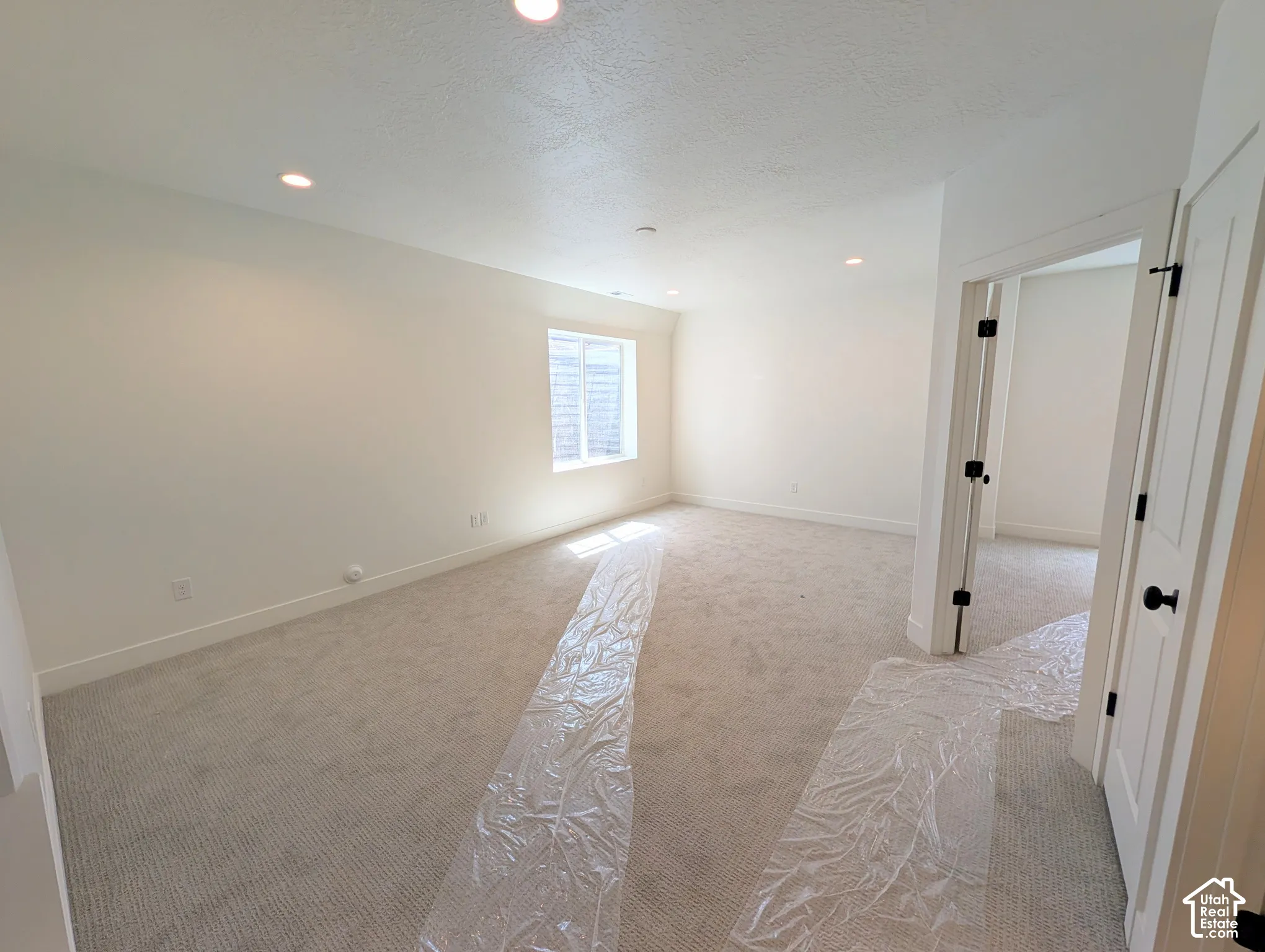 Basement family room