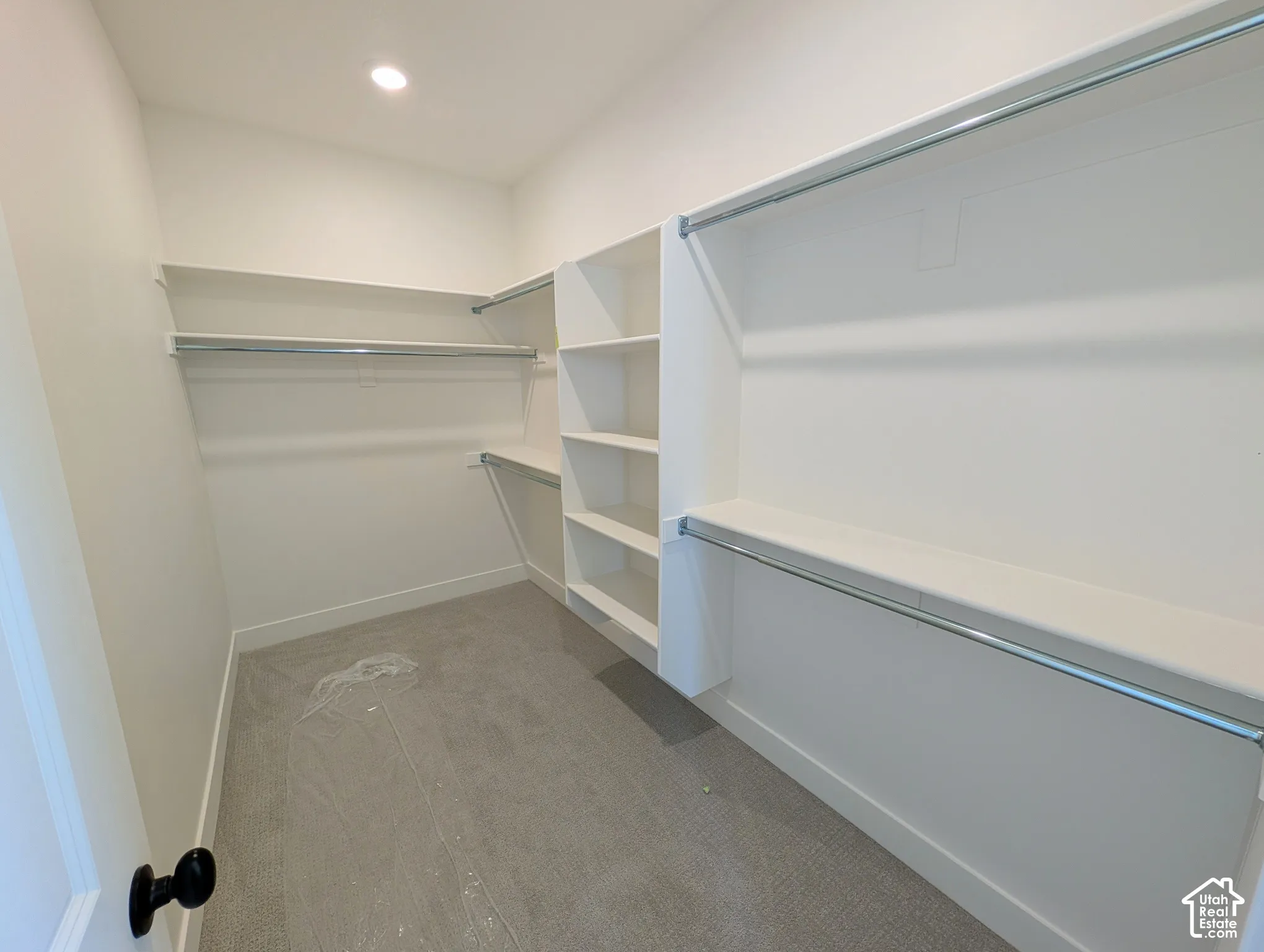 Walk-in closet featuring built-in shelving, hanging rods, recessed ceiling light, and carpet flooring