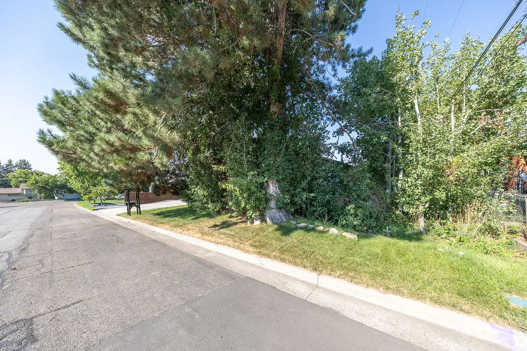 Streetscape featuring mature trees and a manicured lawn