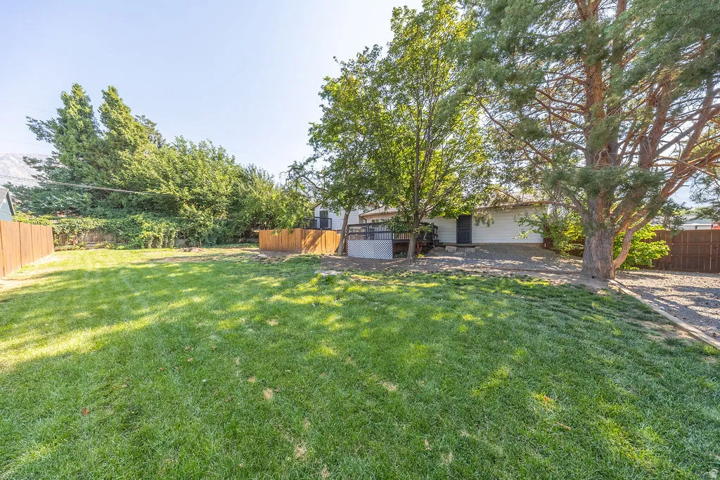 Expansive grassy lawn with mature trees and wood fencing