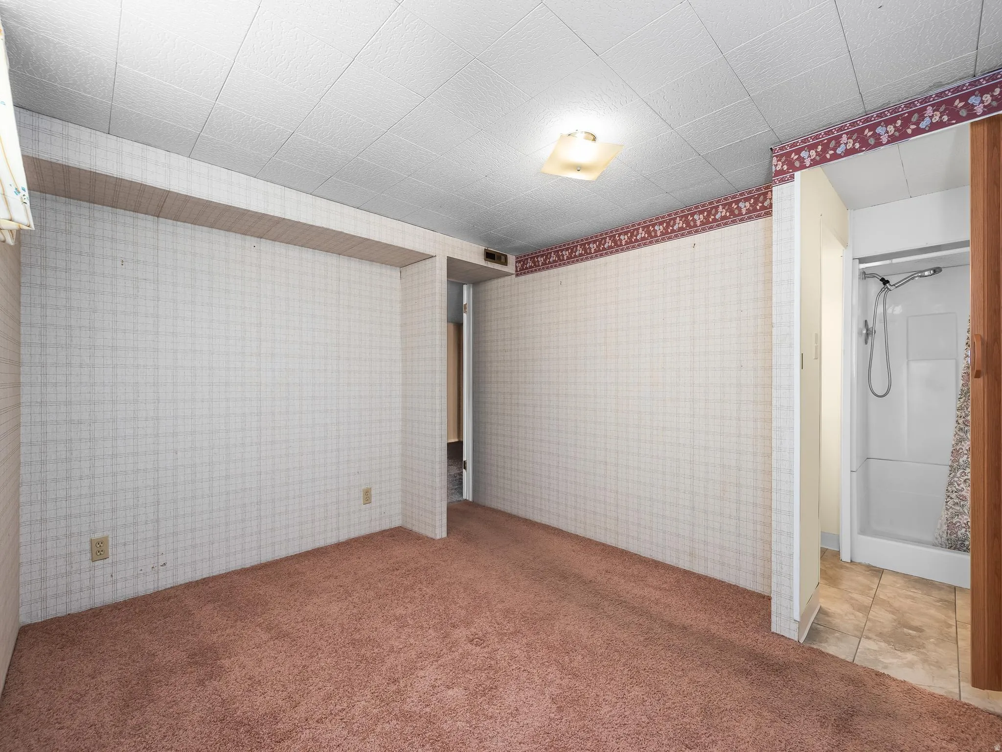 Wall-to-wall carpeting and wall coverings, featuring a ceiling-mounted light fixture and a shower stall with a tile floor