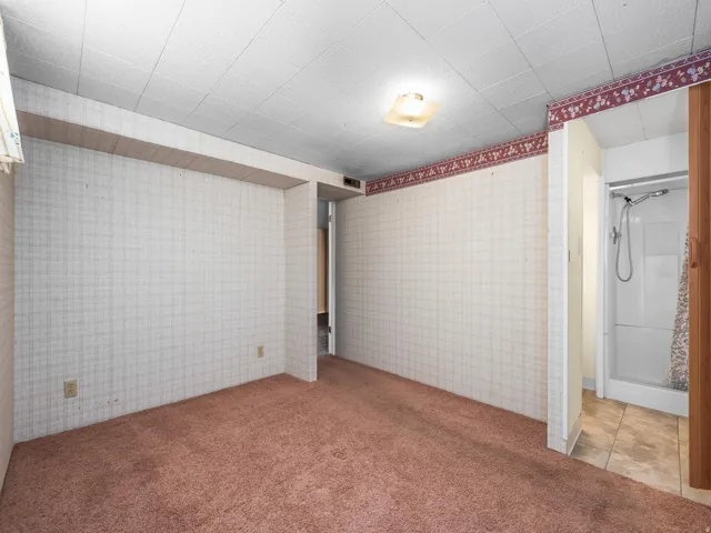 Wall-to-wall carpeting and wall coverings, featuring a ceiling-mounted light fixture and a shower stall with a tile floor