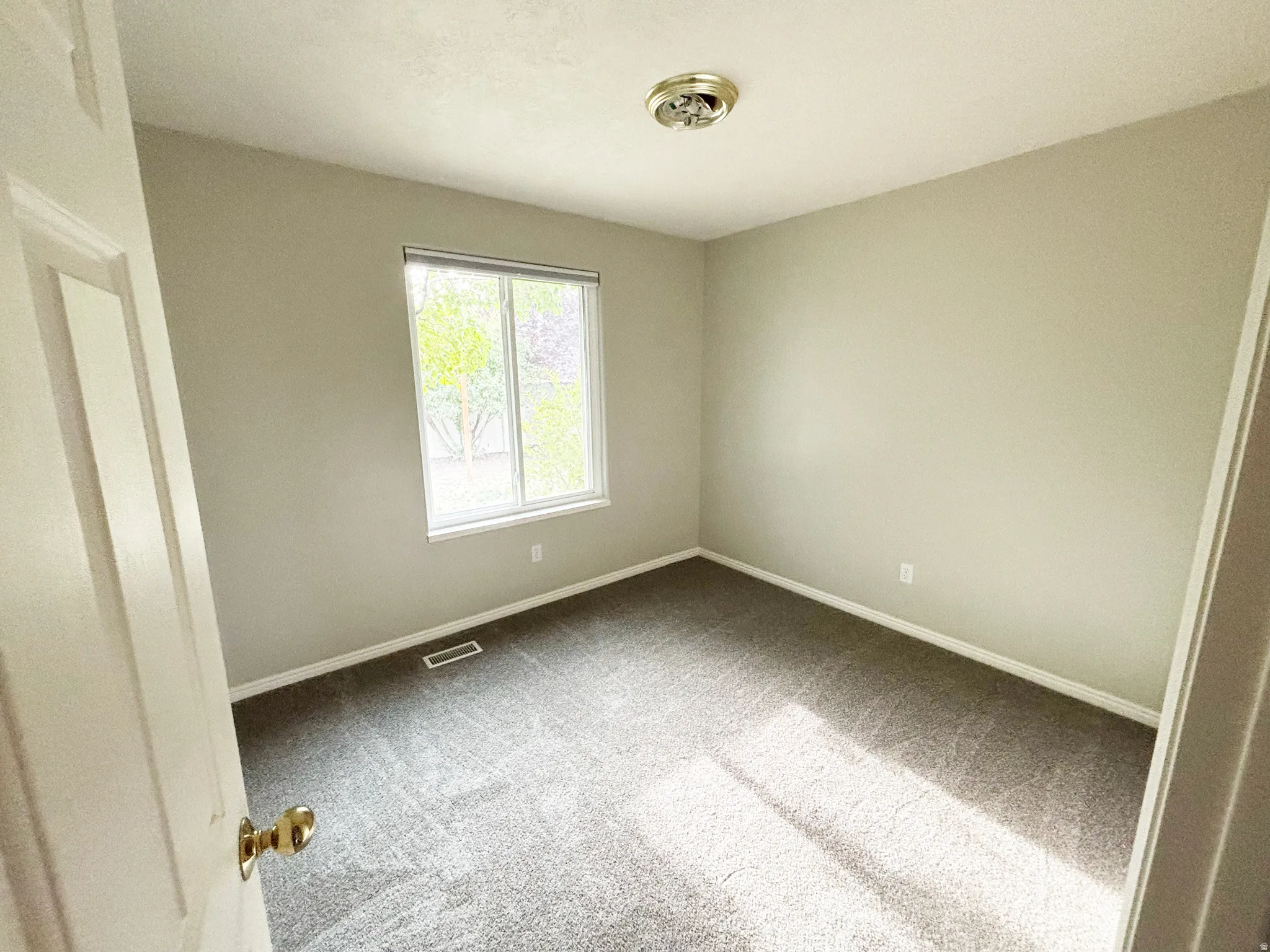 Neutral tone wall paint, carpeted flooring, window with blinds, and ceiling-mounted light fixture