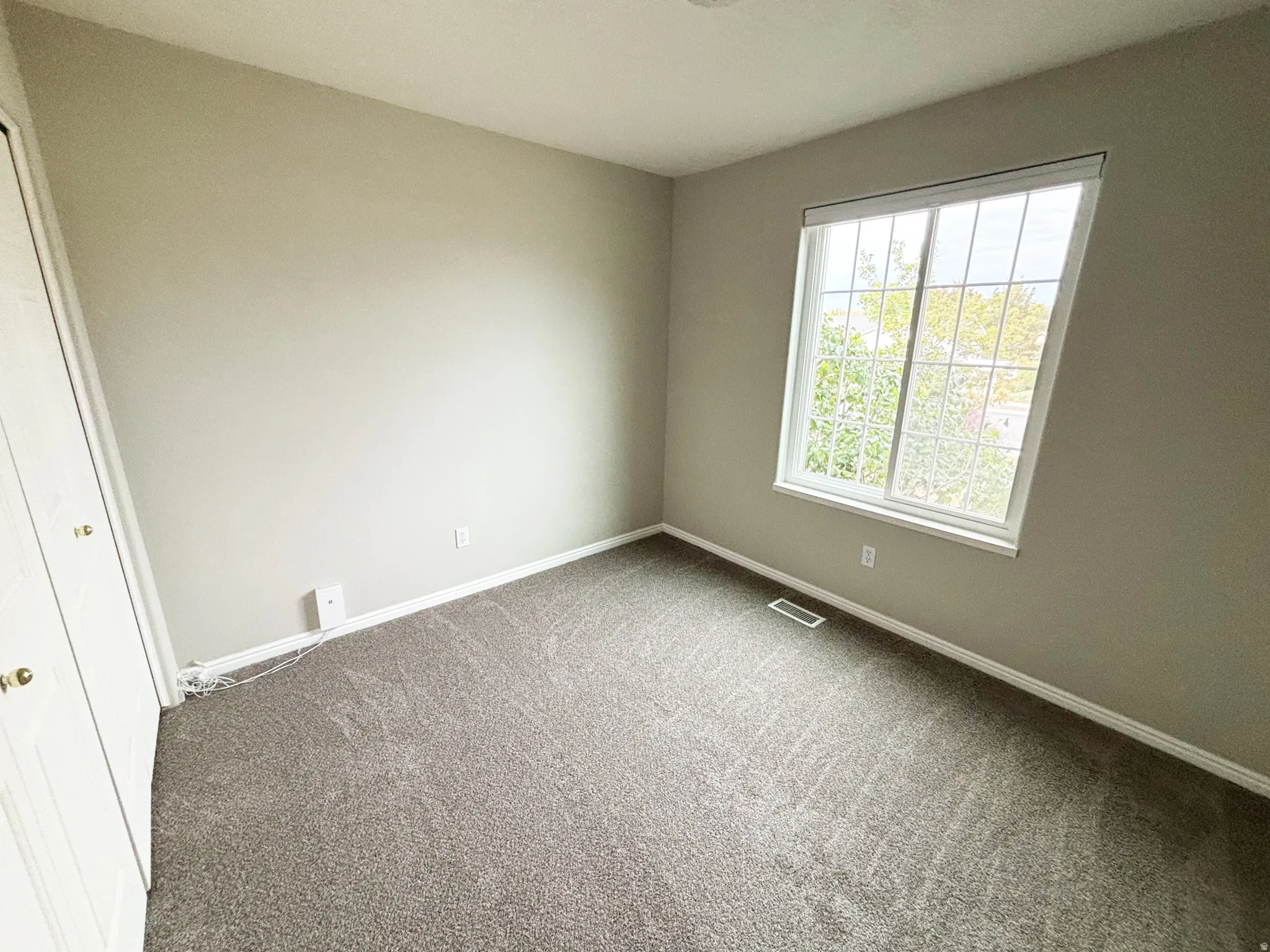 Bright secondary bedroom featuring neutral wall finishes, expansive carpeting, and abundant natural light from a large double-hung window with gridded panes